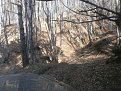 Натиснете снимката за да я уголемите

Име:P4070179.jpg
Прегледи:516
Размер:186.8 КБ
ID:5786033