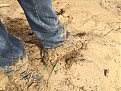 Натиснете снимката за да я уголемите

Име:IMG_0836.JPG
Прегледи:1314
Размер:1.01 МБ
ID:5786049