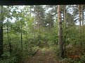Натиснете снимката за да я уголемите

Име:P5130206.jpg
Прегледи:531
Размер:185.7 КБ
ID:5788746
