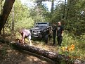 Натиснете снимката за да я уголемите

Име:P5130213.jpg
Прегледи:514
Размер:199.0 КБ
ID:5788753