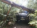 Натиснете снимката за да я уголемите

Име:P5130228.jpg
Прегледи:524
Размер:194.3 КБ
ID:5788760