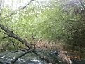 Натиснете снимката за да я уголемите

Име:P5130245.jpg
Прегледи:514
Размер:198.9 КБ
ID:5788768