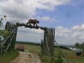 Натиснете снимката за да я уголемите

Име:P5270249.jpg
Прегледи:787
Размер:189.9 КБ
ID:5789554