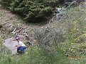 Натиснете снимката за да я уголемите

Име:P6100324.jpg
Прегледи:246
Размер:192.3 КБ
ID:5791554