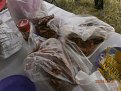 Натиснете снимката за да я уголемите

Име:P6230083.jpg
Прегледи:581
Размер:196.5 КБ
ID:5792797