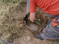 Натиснете снимката за да я уголемите

Име:P6230090.jpg
Прегледи:572
Размер:190.2 КБ
ID:5792800