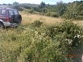Натиснете снимката за да я уголемите

Име:P6230095.jpg
Прегледи:570
Размер:193.2 КБ
ID:5792803