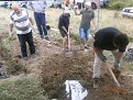 Натиснете снимката за да я уголемите

Име:P6240040.jpg
Прегледи:517
Размер:190.2 КБ
ID:5792850