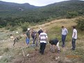 Натиснете снимката за да я уголемите

Име:P6240041.jpg
Прегледи:522
Размер:191.6 КБ
ID:5792851