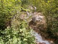 Натиснете снимката за да я уголемите

Име:P7010158.jpg
Прегледи:814
Размер:191.9 КБ
ID:5793243