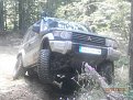 Натиснете снимката за да я уголемите

Име:P7150039.jpg
Прегледи:619
Размер:189.8 КБ
ID:5794480