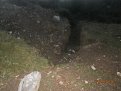 Натиснете снимката за да я уголемите

Име:P7310311.jpg
Прегледи:305
Размер:185.9 КБ
ID:5795640