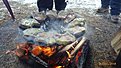 Натиснете снимката за да я уголемите

Име:P1070215.jpg
Прегледи:242
Размер:183.8 КБ
ID:5805686