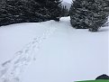 Натиснете снимката за да я уголемите

Име:IMG-542806d5ba471cf148bd7cf742429c48-V.jpg
Прегледи:245
Размер:229.3 КБ
ID:5805844