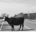 Натиснете снимката за да я уголемите

Име:PhotoPictureResizer_190316_211947769-1024x896.jpg
Прегледи:350
Размер:125.1 КБ
ID:5810557