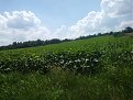 Натиснете снимката за да я уголемите

Име:20190616_150355 (Medium).jpg
Прегледи:774
Размер:264.0 КБ
ID:5816234