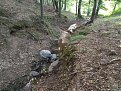 Натиснете снимката за да я уголемите

Име:67776655_873492963015681_6339689973087731712_n_640x480.jpg
Прегледи:586
Размер:110.8 КБ
ID:5819022
