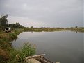 Натиснете снимката за да я уголемите

Име:IMGP1536.jpg
Прегледи:274
Размер:77.8 КБ
ID:5825220