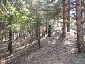 Натиснете снимката за да я уголемите

Име:arena-006.jpg
Прегледи:158
Размер:116.2 КБ
ID:5825547