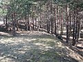 Натиснете снимката за да я уголемите

Име:arena-014.jpg
Прегледи:115
Размер:113.6 КБ
ID:5825554