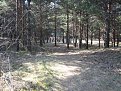 Натиснете снимката за да я уголемите

Име:arena-019.jpg
Прегледи:120
Размер:109.5 КБ
ID:5825558