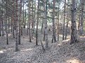 Натиснете снимката за да я уголемите

Име:arena-041.jpg
Прегледи:133
Размер:97.8 КБ
ID:5825568