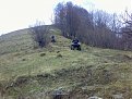 Натиснете снимката за да я уголемите

Име:Karane2.jpg
Прегледи:834
Размер:162.8 КБ
ID:5825709