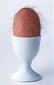 Натиснете снимката за да я уголемите

Име:egg.jpg
Прегледи:204
Размер:17.8 КБ
ID:5825826