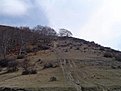 Натиснете снимката за да я уголемите

Име:OFF)) 070q.jpg
Прегледи:111
Размер:49.4 КБ
ID:5825923