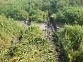 Натиснете снимката за да я уголемите

Име:DSC00078.jpg
Прегледи:689
Размер:351.1 КБ
ID:5827535