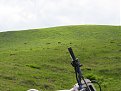Натиснете снимката за да я уголемите

Име:Picture 247.jpg
Прегледи:247
Размер:136.6 КБ
ID:5827655