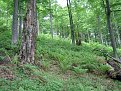 Натиснете снимката за да я уголемите

Име:Picture 251.jpg
Прегледи:242
Размер:283.0 КБ
ID:5827659
