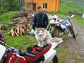 Натиснете снимката за да я уголемите

Име:Picture 262.jpg
Прегледи:334
Размер:219.9 КБ
ID:5827669