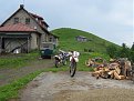 Натиснете снимката за да я уголемите

Име:Picture 266.jpg
Прегледи:285
Размер:160.7 КБ
ID:5827670