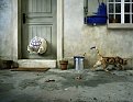 Натиснете снимката за да я уголемите

Име:9708609__News_Photo_image_large_12302.jpg
Прегледи:9737
Размер:54.4 КБ
ID:5827836