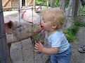 Натиснете снимката за да я уголемите

Име:svinokiss.jpg
Прегледи:9752
Размер:59.3 КБ
ID:5827839