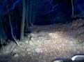 Натиснете снимката за да я уголемите

Име:Picture 283.jpg
Прегледи:164
Размер:86.7 КБ
ID:5827865