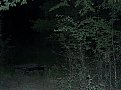 Натиснете снимката за да я уголемите

Име:Picture 284.jpg
Прегледи:171
Размер:187.6 КБ
ID:5827866