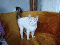 Натиснете снимката за да я уголемите

Име:DSC07195res kote.jpg
Прегледи:546
Размер:205.0 КБ
ID:5828058