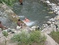 Натиснете снимката за да я уголемите

Име:IMG_0645.jpg
Прегледи:330
Размер:174.6 КБ
ID:5828205