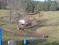 Натиснете снимката за да я уголемите

Име:DSC00978.jpg
Прегледи:528
Размер:213.2 КБ
ID:5831432