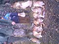 Натиснете снимката за да я уголемите

Име:7B8A0002.jpg
Прегледи:239
Размер:63.7 КБ
ID:5831687