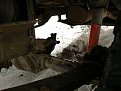 Натиснете снимката за да я уголемите

Име:P1100856.jpg
Прегледи:884
Размер:84.5 КБ
ID:5831933