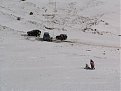 Натиснете снимката за да я уголемите

Име:IMG_6402.jpg
Прегледи:197
Размер:113.0 КБ
ID:5833694