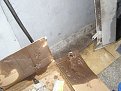 Натиснете снимката за да я уголемите

Име:k8.jpg
Прегледи:806
Размер:151.9 КБ
ID:5833844
