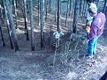 Натиснете снимката за да я уголемите

Име:DSCI0050.jpg
Прегледи:1094
Размер:214.1 КБ
ID:5833882