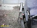 Натиснете снимката за да я уголемите

Име:IMAG0064.jpg
Прегледи:810
Размер:143.5 КБ
ID:5834184