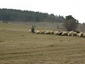 Натиснете снимката за да я уголемите

Име:DSCN3266.jpg
Прегледи:403
Размер:495.3 КБ
ID:5835399