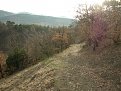 Натиснете снимката за да я уголемите

Име:DSCN3278.jpg
Прегледи:398
Размер:688.9 КБ
ID:5835402