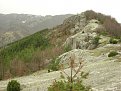 Натиснете снимката за да я уголемите

Име:DSCN3995.jpg
Прегледи:494
Размер:632.0 КБ
ID:5836055